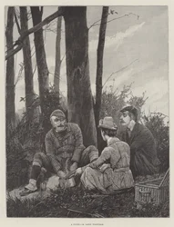 A Picnic